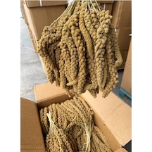 Kızıl Dal Darı 1 Kg