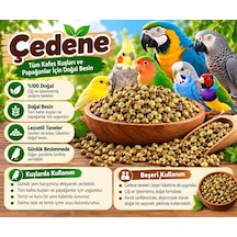 Çiğ Çedene Yerli Üretim 500 Gr
