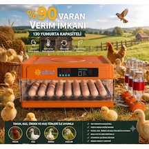 Tam Otomatik Kuluçka Makinesi 130 Yumurta Kapasiteli Akıllı Isı Ve Nem Kontrolü Otomatik Yumurta Çevirme Otomatik Su Sistemi Ayarlanabilir Viyol Lisinya