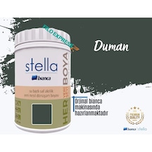 Bianca Stella Su Bazlı Saf Akrilik Boya 1 L Duman