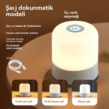 Şarj Atmosfer Gece Lambası Üç Renkli Aydınlatma 3 Renk Şarj Edilebilir