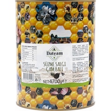 Çam Balı 4700gr