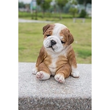 Oturan Uykulu Bulldog Yavru Köpek