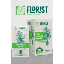 Florıst-yeşil Yapraklı Bitkiler Ve Daha Yeşil Yapraklar İçin Sıvı Konsantre Bitki Besini 200