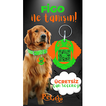 Petjoo 27.Figo Turuncu-Yeşil Qr'lı Köpek Künyesi