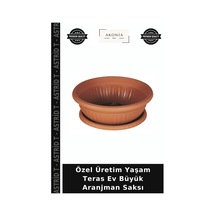 Özel Üretim Yaşam Teras Ev Büyük Aranjman Saksı