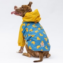 Pawstar Pekin Büyük Irk Yağmurluk