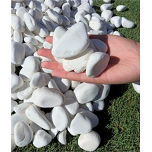 Dolomit Taş 50 Kg 2-4 Cm Beyaz Dolomit Bahçe Taşı Çakıl Taşı Saksı Taşı Akvaryum Teraryum Taşı