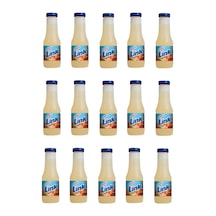 Link Şeftali Aromalı İçecek 200 Ml X 15 Adet