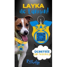 Petjoo 22.Layka Mavi-Sarı Qr'lı Köpek Künyesi