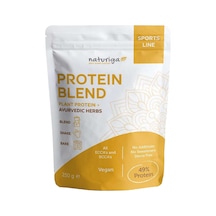 Naturiga Ayurvedik Protein Blend 250 G
