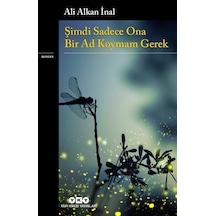 Şimdi Sadece Ona Bir Ad Koymam Gerek - Ali Alkan İnal - Yapı Kredi Yayınları