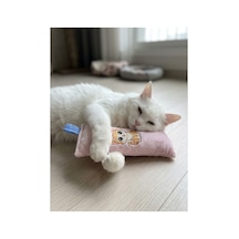 Kedi Köpek Oyuncağı Peluş Baskılı, Yumuşak Kumaşlı Hışırtılı Oyuncak Beyaz - 937493409