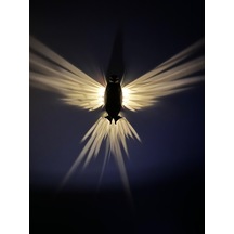 Kartal 3d Baskı Ile Üretilmiş Dekoratif Gece Lambası/aplik Siyah