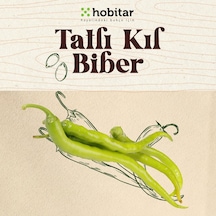 Hobitar Tatlı Kıl Biber Tohumu