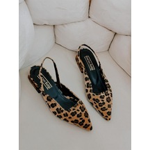 Leopar