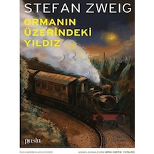 Ormanın Üzerindeki Yıldız - Stefan Zweig - Puslu Yayıncılık