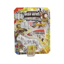 Transformers Set Kaplan
