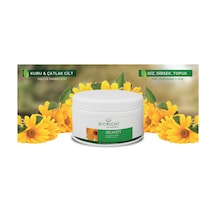 Biorichi Aynısafa Merhemi 250 G