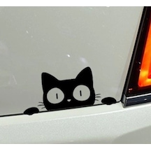 Kedi Oto Araba Sticker Yapıştırma