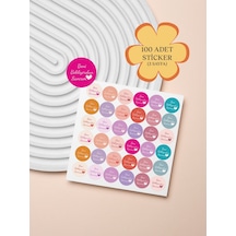 100 Adet Teşekkür Ederiz Stickers Paketleme Kargo Çıkartma Pyt0k