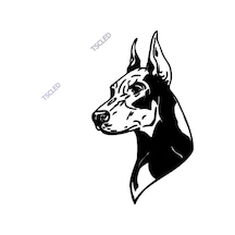 Dobermen Köpeği Stickerı Yapıştırması 17Cm
