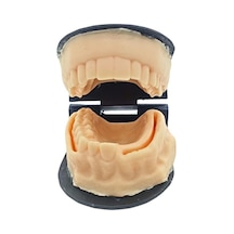 Barışhan Medikal Silikon Çene Diş Dikiş Modeli Ortodontik Alt Üst Çene Periodontal Sütür Eğitim Modeli-6