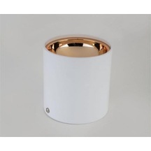 Foça Sıva Üstü Led Armatür Boş Kasa Gu10 Duy Ct-5421 Diğer