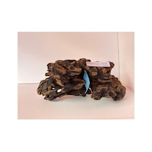 Dragon Wood No:72119 33x15x16h