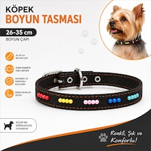 Boncuklu Köpek Boyun Tasması 26-35 Cm Küçük Irk Ayarlanabilir Metal Tokalı D Halkalı - Siyah Çok Renkli