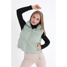 Mint Yeşili