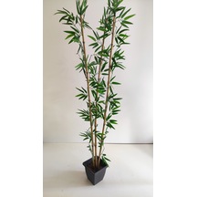 Rüzgar Yapay Çiçekçilik 170 Cm 3 Lü Bambu Yeşil