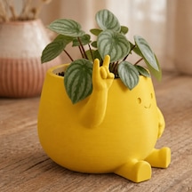 Bezos 3d Baskı Smiley Face Planter - Gülümseyen Karakterli Saksı-sarı Dlra Standart