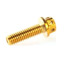 Willowhaven M6x25mm 10adet Altın Titanyum Kaplama Paslanmaz Çelik Motor Cıvataları