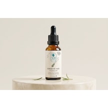308 Fıruz 20ml Biberiye Yağı Teknokent Firması 20 ML