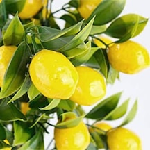 Rüzgar Çiçekcilik Yapay Limon Demeti Sarı