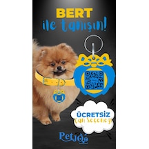Petjoo 13.Bert Mavi-Sarı Qr'lı Köpek Künyesi