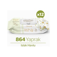 Giggles Islak Havlu 72'li Papatya 12 Paket 864 Mendil