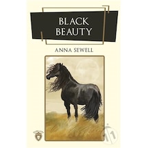 Black   Beauty