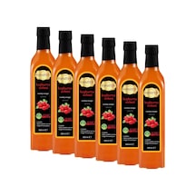 Hanzade Bitkisel Kuşburnu Sirkesi 6 x 500 ML