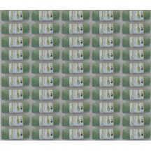 Polyfly Yeşil Çöp Poşeti 50 x 60 CM 15'li Rulo 50 Rulo 750 Adet