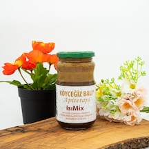 Köyceğiz Balı Apiterapi Isımix Cam Kavanoz 450 G