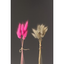 Gri - Pembe