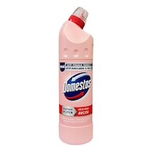 Domestos Kötü Koku Avcısı 750 ML