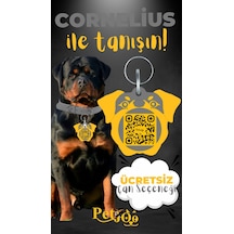 Petjoo 20.Cornelius Sarı-Gri Qr'lı Köpek Künyesi