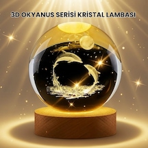 Buğz Lazer İşlemeli Yunus Kristal Küre Sıcak Işıklı Ahşap Standlı