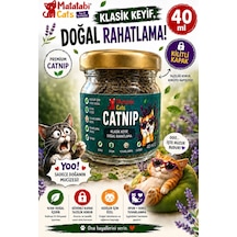 Catnip Kedi Nanesi Doğal,premium