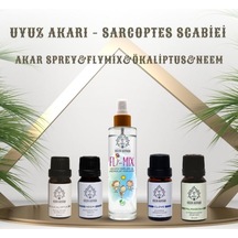 Art De Huile By Hülya Kayhan Fly-Mix Vücut Spreyi Uyuz Akarı Seti