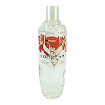 Kertil Çam 60 Derece Hazan Kolonyası Pet Şişe 380 ML
