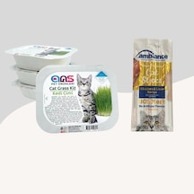 Ans Kedi Çimi + Tavuklu ve Ciğerli 3'lü Ödül Çubuğu